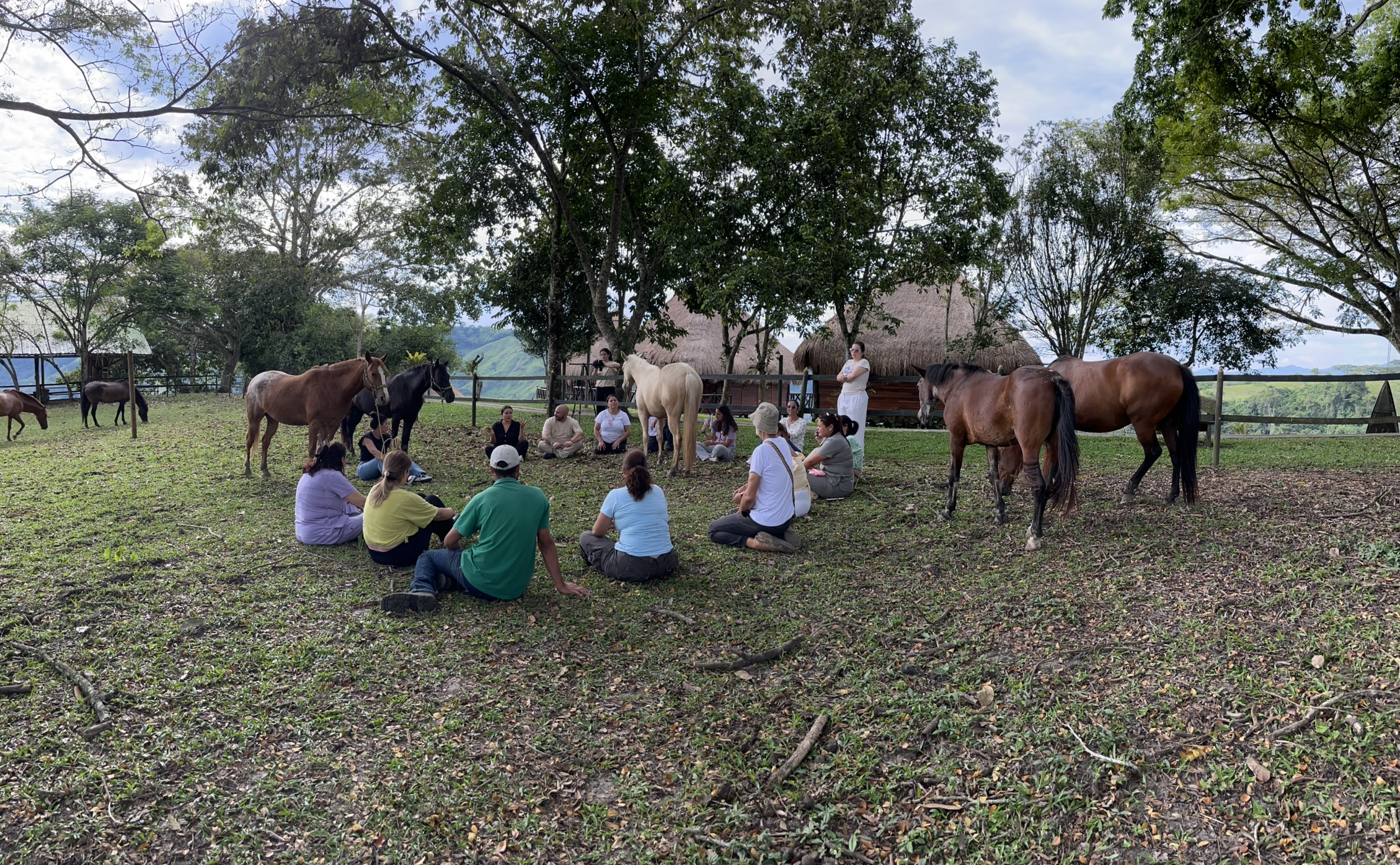 sesión de coaching grupal con caballos con Malena cardenas
